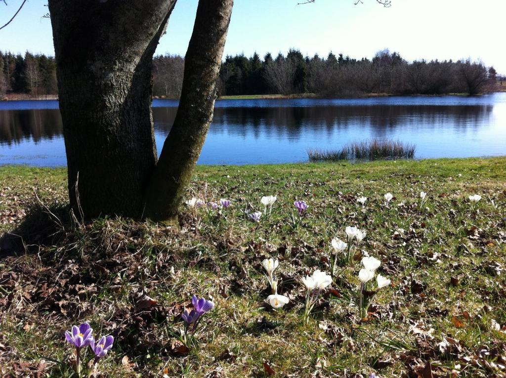 Tollundgaard Golf Park & Apartments Funder Kirkeby المظهر الخارجي الصورة